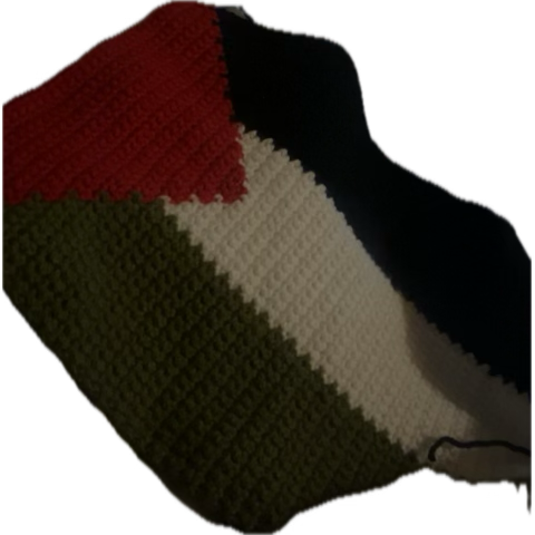 Palestine flag
